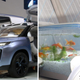 Illustration for article titled Chinese Concept Car Has A Fish Tank Inside Because Why The Hell Not